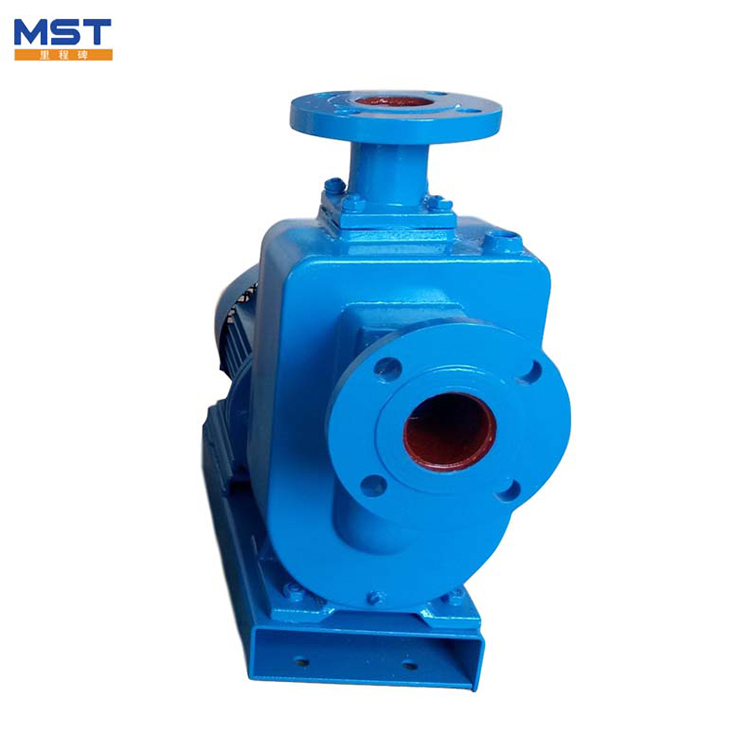 Z Horizontal Self Priming Pump