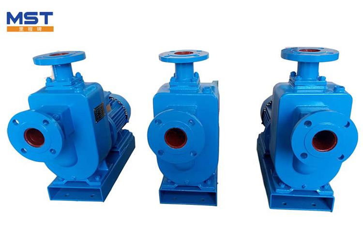 Z horizontal self priming pump